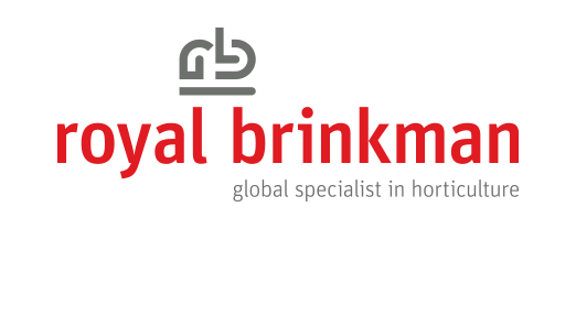 Royal Brinkman logo