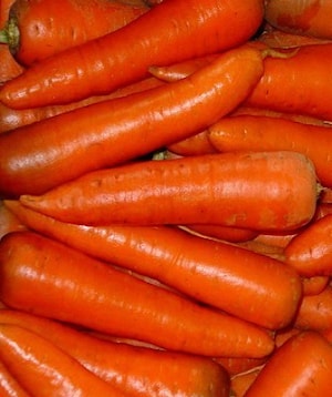 Семена моркови АБЛЕДО F1 (бывшая АБЛИКСО F1) (Ablixo F1)  