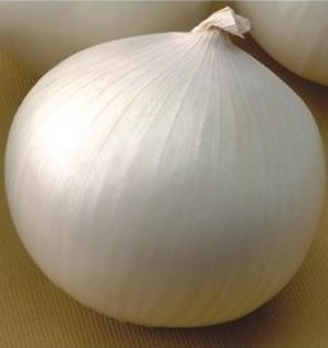 Семена лука репчатого Оризаба F1 (Orizaba F1)