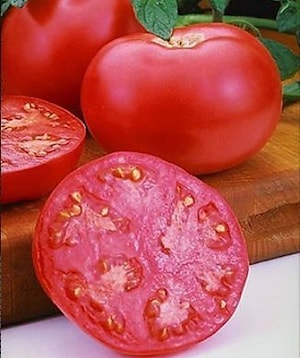 Семена томата индетерминантного ПИНК ГЕЛ F1 (ПИНК ЛЕДИ F1) (Pinc Girl F1)